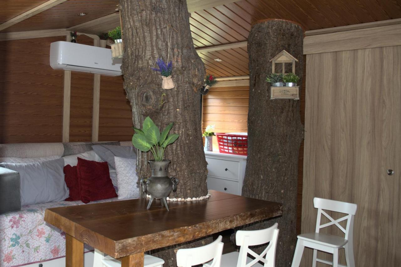 Quinta Dos Lagos Marco de Canaveses Ngoại thất bức ảnh